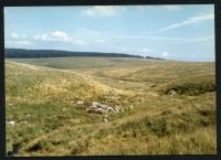 An image from the Dartmoor Trust Archive