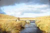 Teignhead Farm clapper bridge