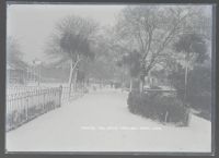 The Lawn, in winter, Dawlish