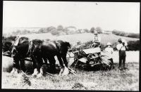 Harvesting at Colves Park