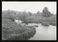 Whitford: river + bridge, Shute