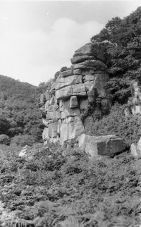 An image from the Dartmoor Trust Archive