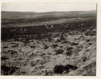 Scorhill Stone Circle