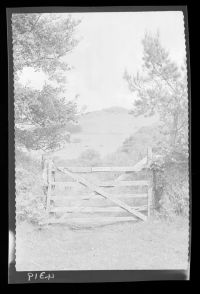 Shipley Tor