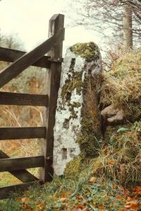 An image from the Dartmoor Trust Archive