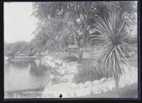 Yacht Pond, Dawlish