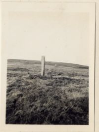 Menhirs on Drizzlecombe