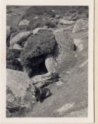 An image from the Dartmoor Trust Archive