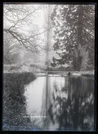 Oxton grounds, reflections in lake, Kenton