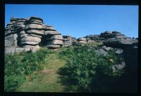 An image from the Dartmoor Trust Archive