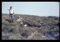 Cut Hill Peat Pass