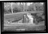 Pond in grounds of Port Eliot