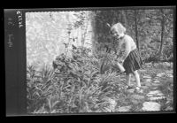 Shirley in the family garden, Plympton