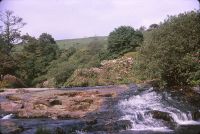 Avon near Shipley bridge