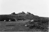 An image from the Dartmoor Trust Archive