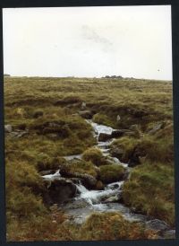 An image from the Dartmoor Trust Archive