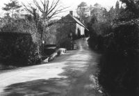 Looking west through Lustleigh