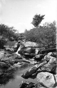 NEGATIVE  OF  COWSIC ABOVE AQUADUCT  BY R. HANSFORD WORTH