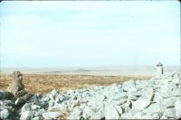 Western White Barrow & Red Lake