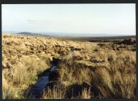 6 Above Lower Ford (Upper) 28/1/1994