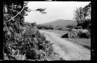 A view of Down Tor