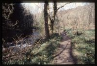 Steps Bridge Walk