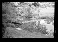 Weir on the River Walkham at Grenofen bridge.