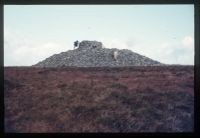  Eastern White Barrow