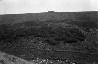 NEGATIVE OF WISTMANS WOOD