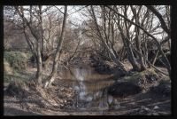 Stover canal - Teign bridge