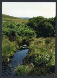 An image from the Dartmoor Trust Archive