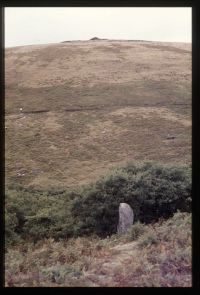 Inscribed Stone at Wistmans Wood