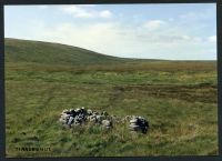 35/36 Tinners house near East Dart, river bank below Kit rocks 18/8/1991