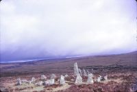 Stone Row, Down Tor