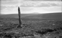 Beardon Man, near Devil’s Tor