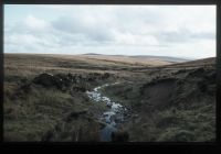 View from Yealm head