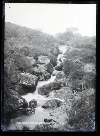 Blackaven Brook, Okehampton