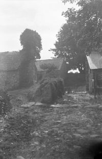 NEGATIVE OF COTTAGES