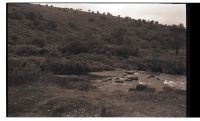 The West Dart River at Week Ford