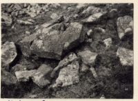 Fragments of Hobajohn Cross on Three Barrows