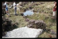 Gallaven Boundary Stone