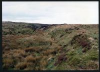 5/30 Near Bala Brook Head 22/5/1991