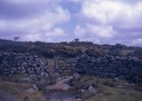 An image from the Dartmoor Trust Archive