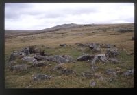 Hut Circles near Vixen Tor