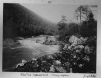 River Dart at Ausewell Wood