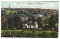 View of Ivybridge