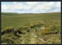 An image from the Dartmoor Trust Archive