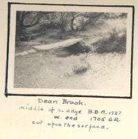 Dean Brook