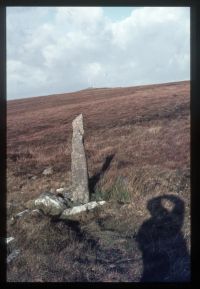 Boundary stone, River Avon 