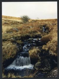 22/9 Bala Brook 29/2/1991